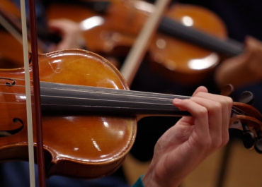 Violons 